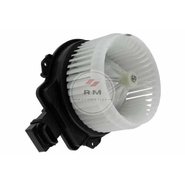 EWN-MS-006