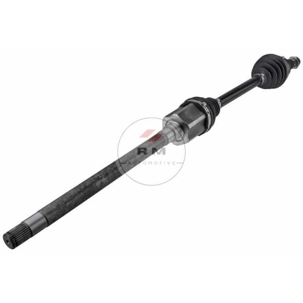 NPW-LR-031