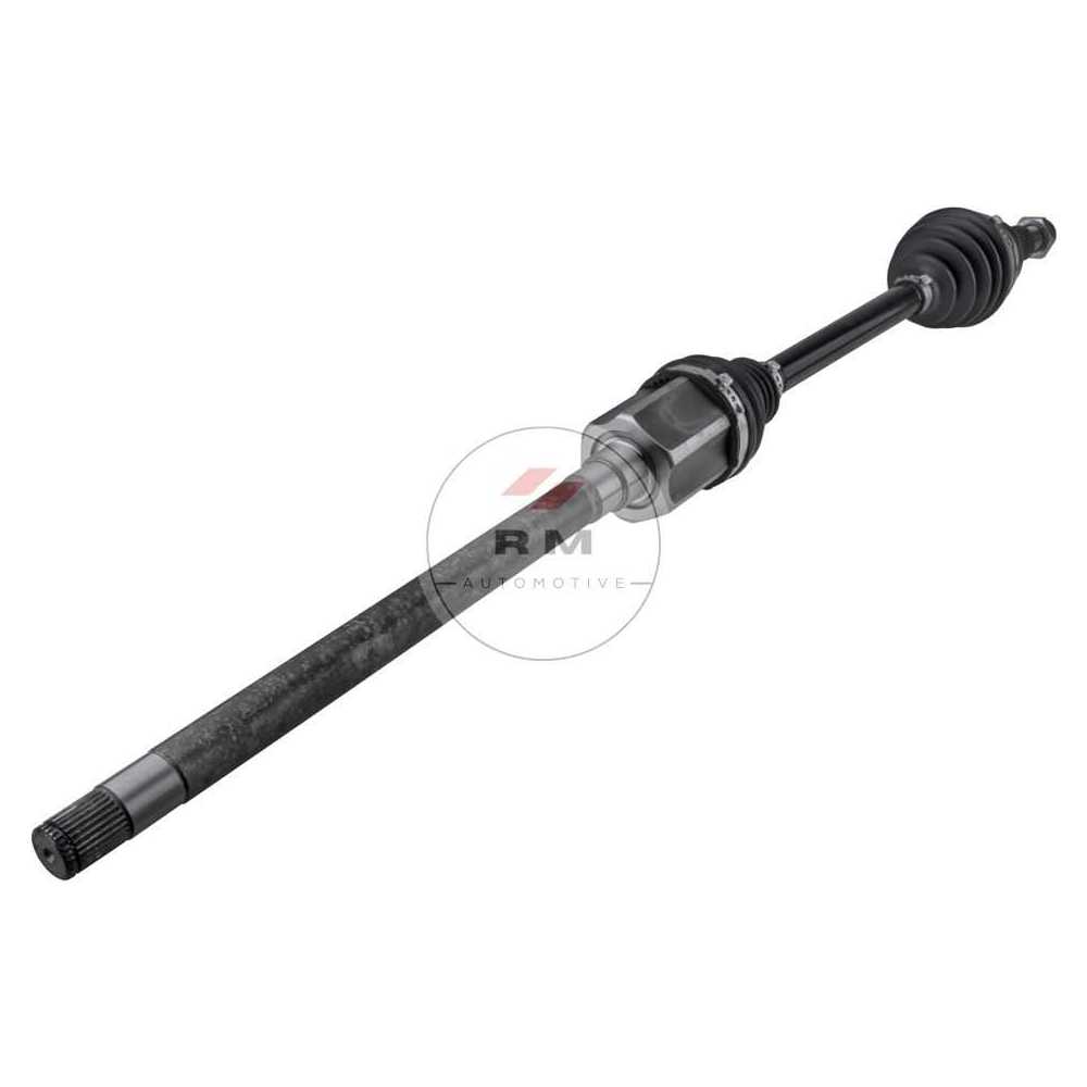 NPW-LR-031
